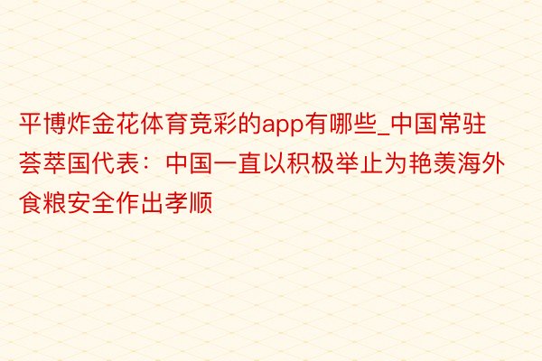 平博炸金花体育竞彩的app有哪些_中国常驻荟萃国代表：中国一直以积极举止为艳羡海外食粮安全作出孝顺