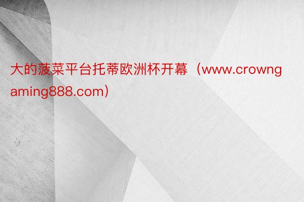 大的菠菜平台托蒂欧洲杯开幕（www.crowngaming888.com）